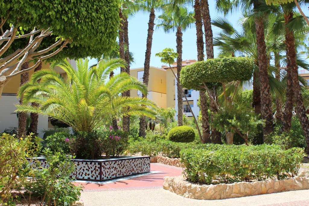 Aldea Del Mar Leilighet Torrevieja Eksteriør bilde